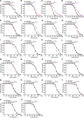 A gonadal gap junction INX-14/Notch GLP-1 signaling axis suppresses gut defense through an intestinal lysosome pathway